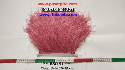large2 BSO 51
